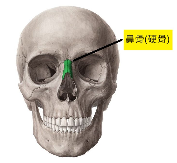 鼻骨骨折怎麼辦 林漢琛醫師耳鼻喉頭頸外科